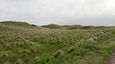 20240531_Thurso_Wick (7)