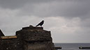 20240601_Wick_Golspie (1)