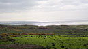 20240601_Wick_Golspie (5)