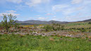 20240601_Wick_Golspie (14)