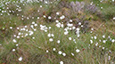 20240601_Wick_Golspie (15)