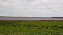 20240601_Wick_Golspie (2)