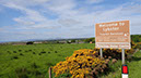 20240601_Wick_Golspie (8)