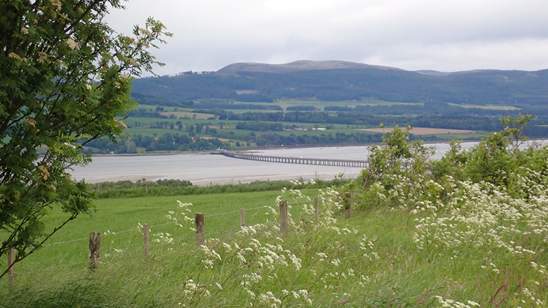 20240602_Golpie_Inverness (30)