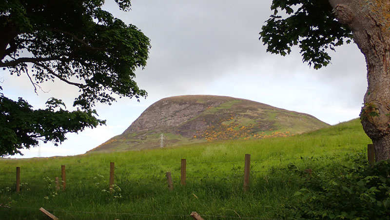 20240602_Golpie_Inverness (3)