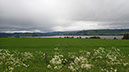 20240602_Golpie_Inverness (28)