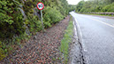 20240604_SpeanBridge_Crianlarich (5)