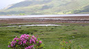 20240604_SpeanBridge_Crianlarich (14)