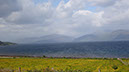 20240604_SpeanBridge_Crianlarich (9)