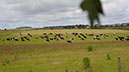 20240614_Royal Wootton Bassett - Southampton (9)